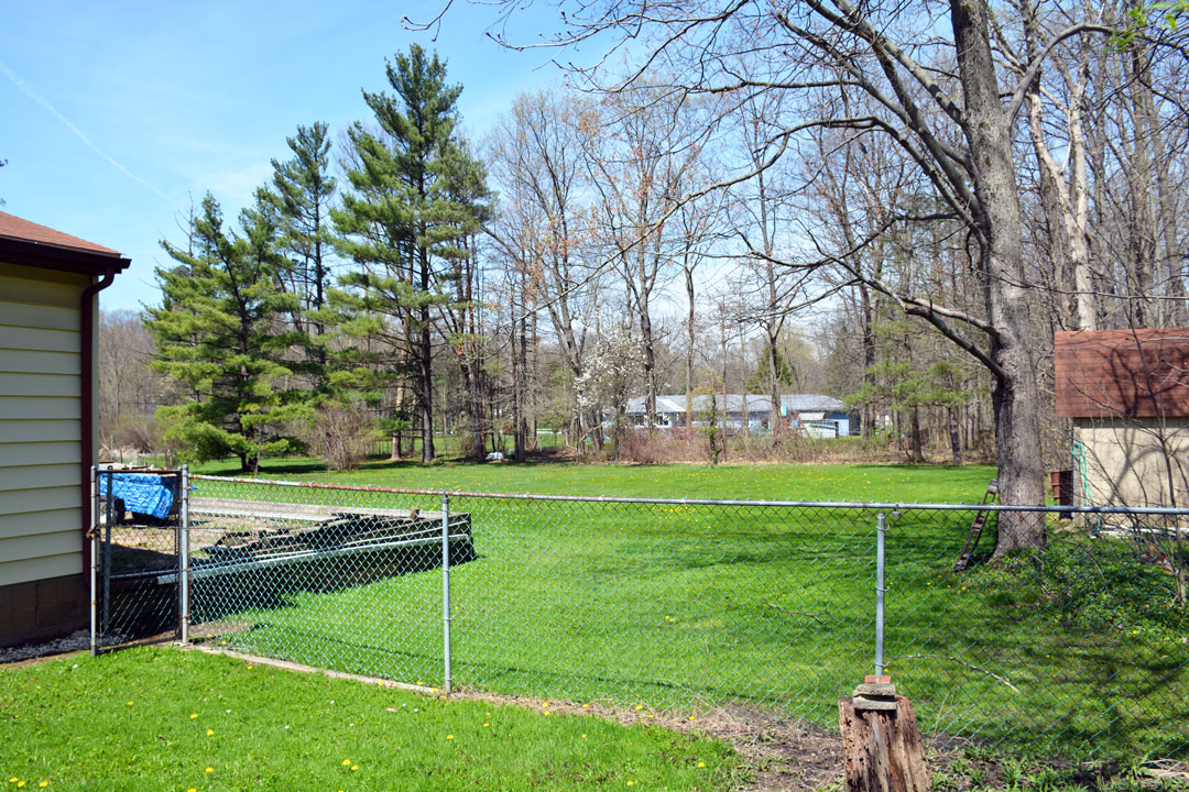 Back yard