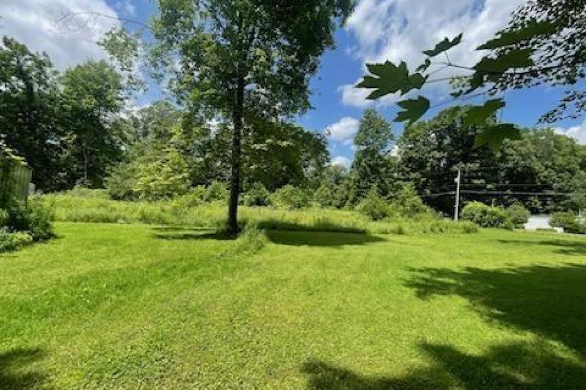 6425 Woodland 2